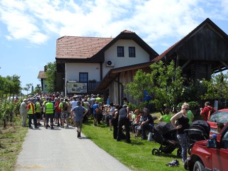 12. pohod Pomlad v prleških goricah Dan odprtih kleti in veselih ljudi, 28.5.2016 36